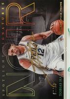 PANINI NBAカード NOIR TOBIAS HARRIS MAGIC 07/25 #AC-TH 送料無料 中古 IT1 PANINI NBAカード NOIR TOBIAS HARRIS MAGIC 07/25 #AC-TH 送料