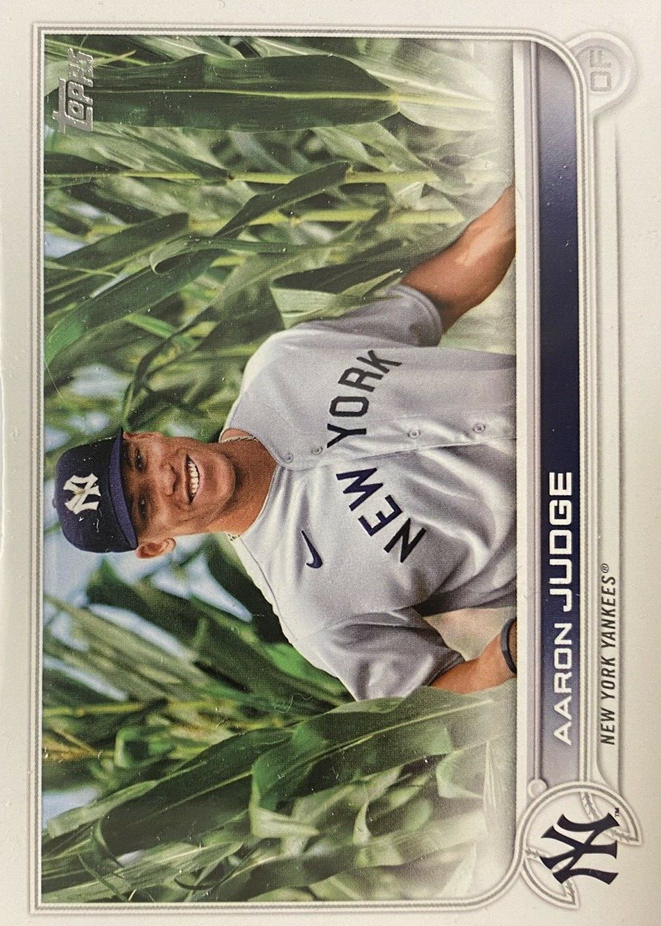 Aaron Judge 2022 Topps #99 SP Variation Price Guide - Sports Card