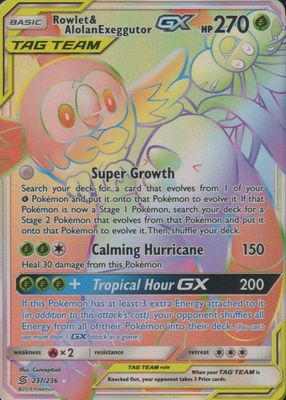 2019 Sun & Moon: Unified Minds #237/236 Holo (Secret)