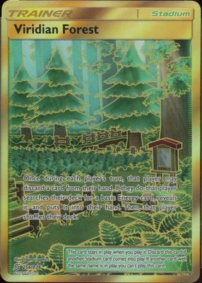 2019 Sun & Moon: Unified Minds #256/236 Holo (Secret)