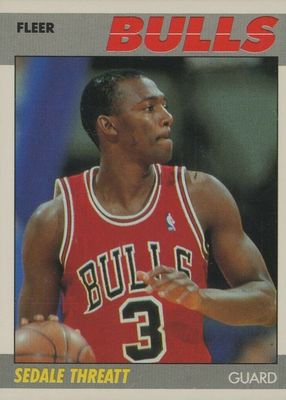1987 Fleer #110 Base