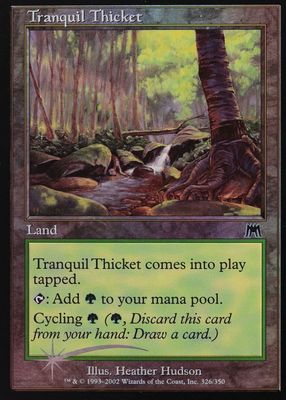 2002 Onslaught #326 Foil