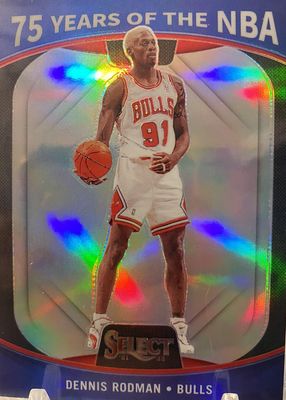 ⚡️NBAトレーディングカード D.Rodman 2023-24 Phoenix Dennis Rodman card #142 Bulls | eBay