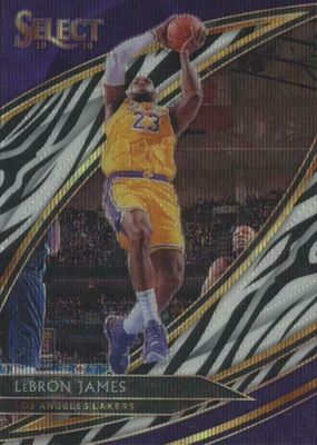 2019 Select #261 Courtside Zebra /(SSP)