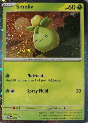 2023 Scarlet & Violet: Black Star Promo #SVP023 Single Pack Blisters (Paldea Evolved)