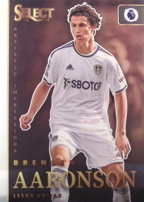 2022 Select Premier League #17 Artistic Impressions /(SSP)