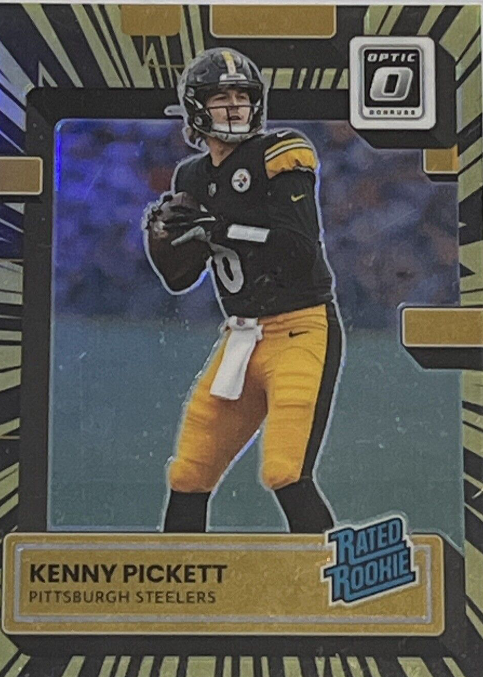 Leaf EXOTIC KENNY PICKETT RC 5シリ Leaf EXOTIC KENNY PICKETT RC 5シリ 2022 Leaf Exotic Turtle