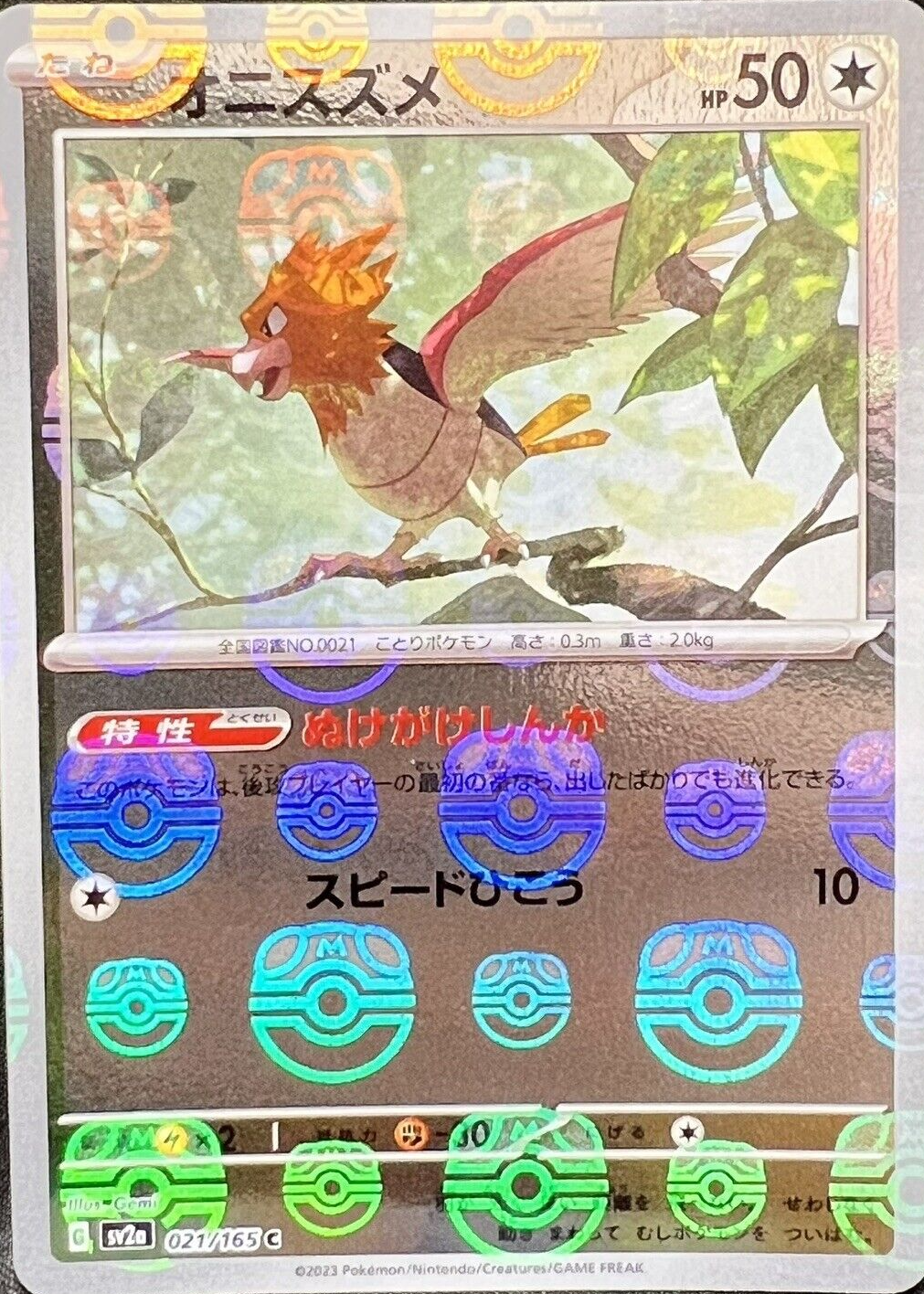 chewtle pokemon card Chewtle Pokémon TCG Cards for sale