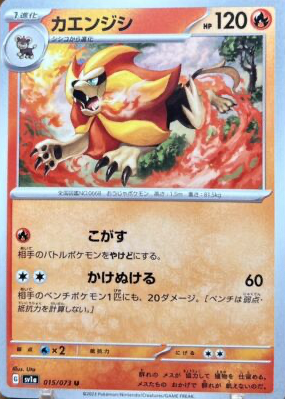 pokemon characters cards Charmander | 151