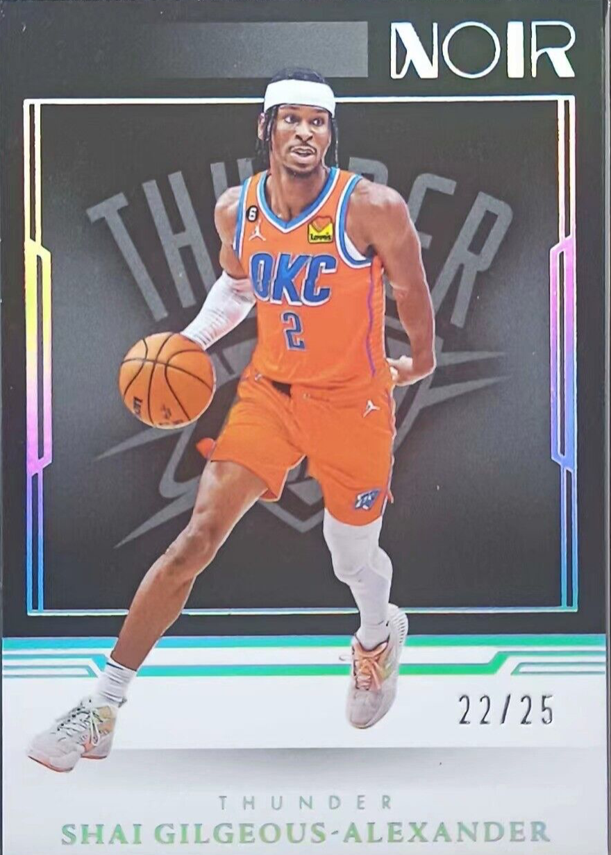 【海外輸入】 NBA 25シリ 直書きパッチオート レイアレン Noir 14/15 その他