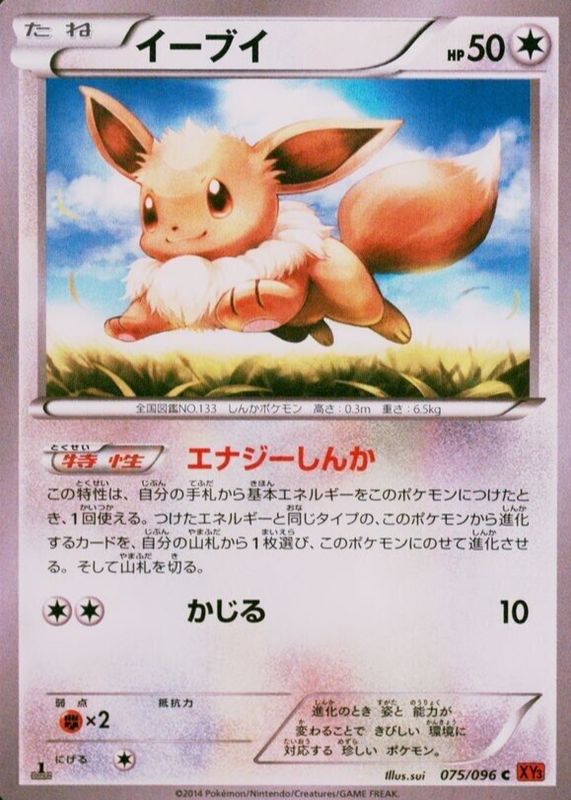 Eevee 2014 Japanese XY: Rising Fist #075/096 1st Edition BGS 10 BLACK LABEL