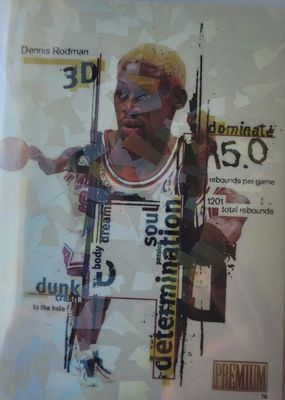 1998 Skybox Premium #14DDD 3D