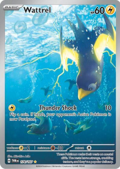 Wattrel Pokemon Cards Price Guide - Sports Card Investor