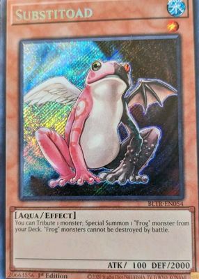 2024 Battles of Legend: Terminal Revenge #BLTR-EN054 1st Edition Secret Rare
