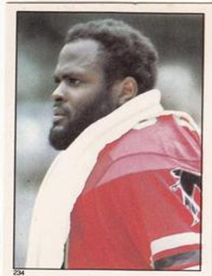 1981 Topps Stickers #234 Base