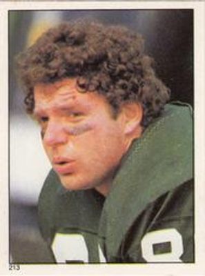 1981 Topps Stickers #213 Base