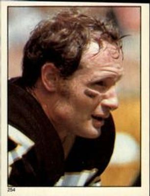 1981 Topps Stickers #254 Base