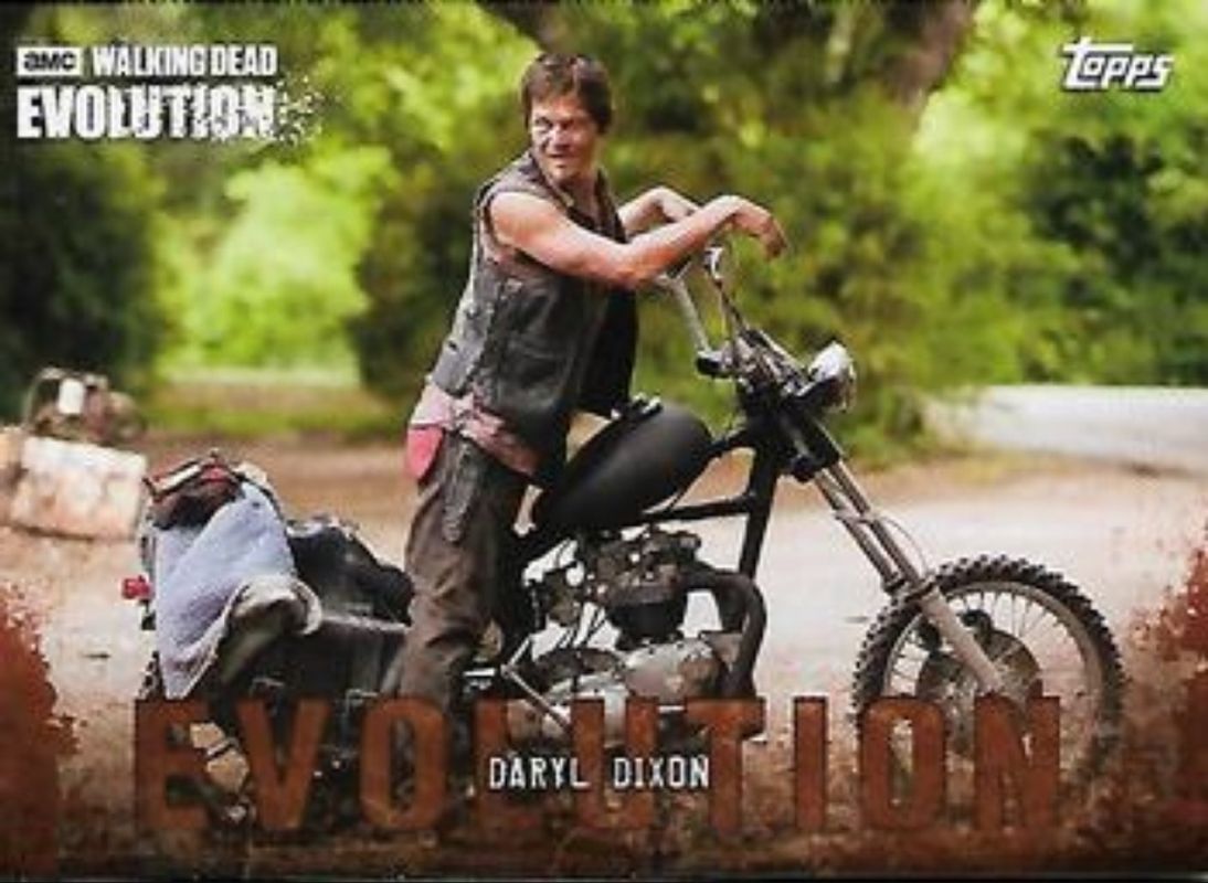 2017 Topps The Walking Dead: Evolution #17 Brown