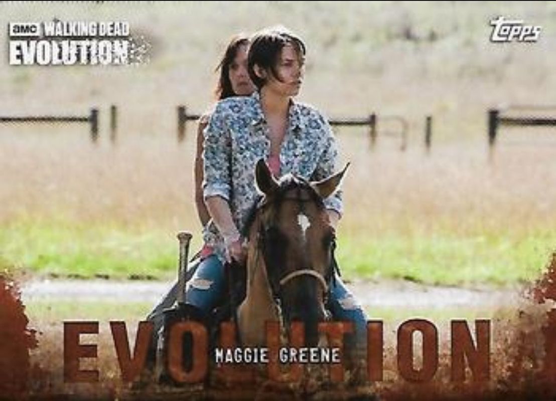 2017 Topps The Walking Dead: Evolution #34 Brown