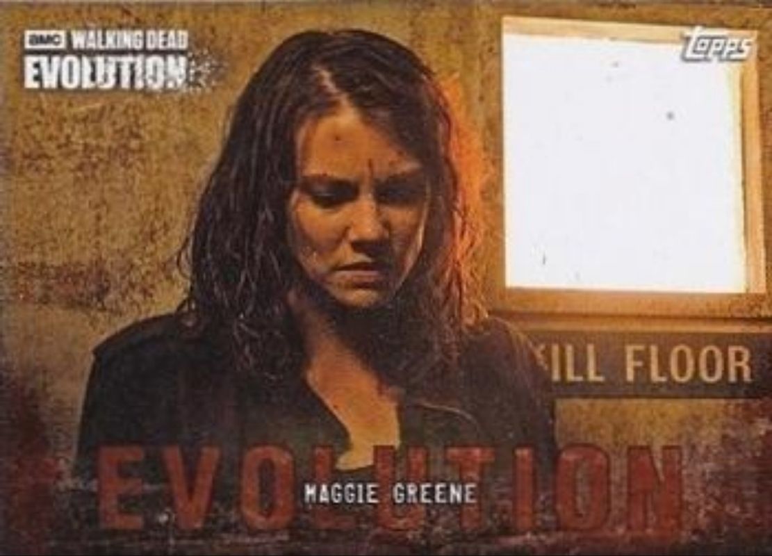 2017 Topps The Walking Dead: Evolution #38 Brown