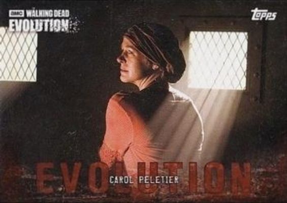 2017 Topps The Walking Dead: Evolution #23 Brown