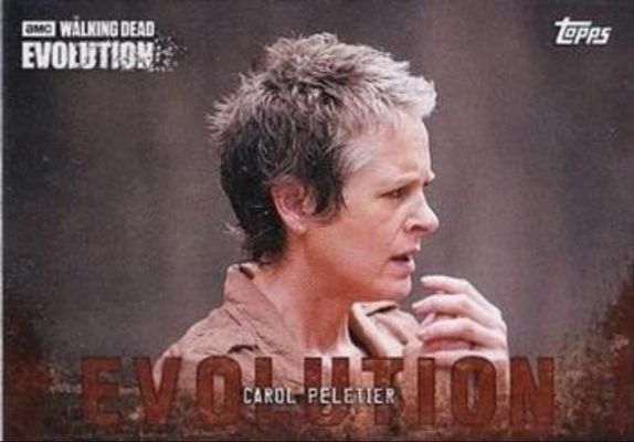 2017 Topps The Walking Dead: Evolution #24 Brown