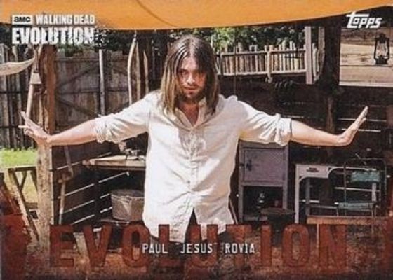 2017 Topps The Walking Dead: Evolution #93 Brown