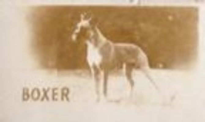 1948 Topps Magic Photos (R714-27) #14G Base