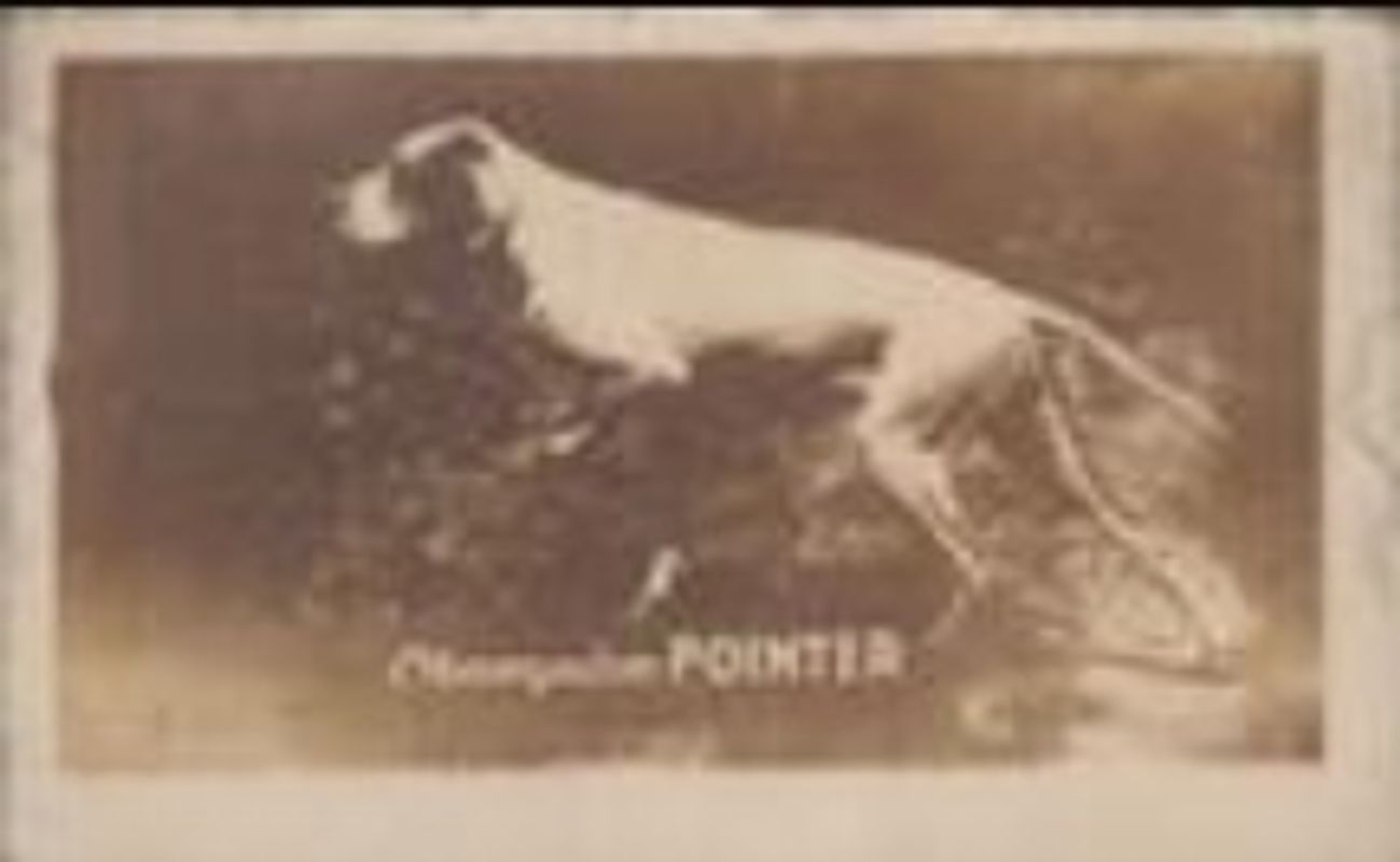 1948 Topps Magic Photos (R714-27) #12G Base