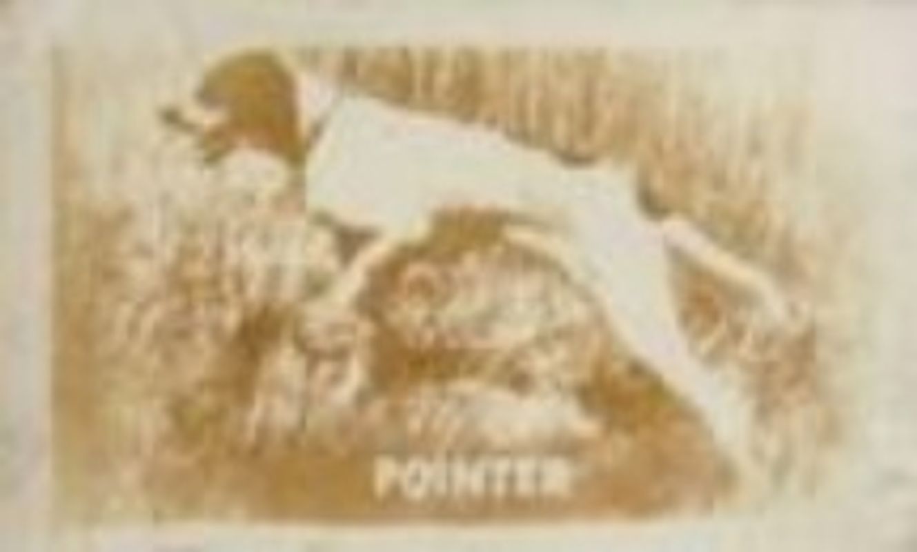 1948 Topps Magic Photos (R714-27) #9G Base