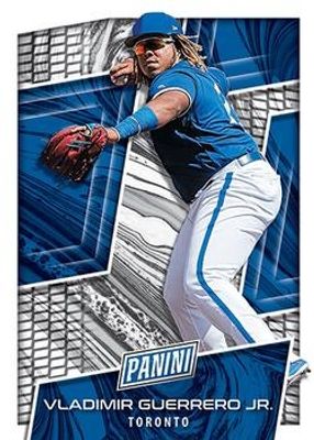 2019 Panini The National VIP #VG Base