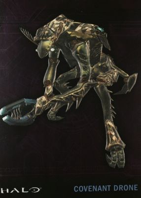 2007 Topps Halo #7 Embossed Foil