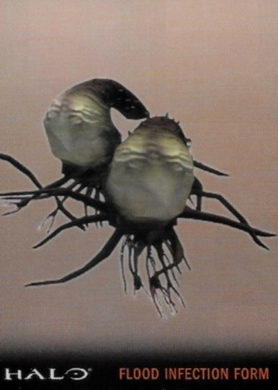 2007 Topps Halo #15 Base