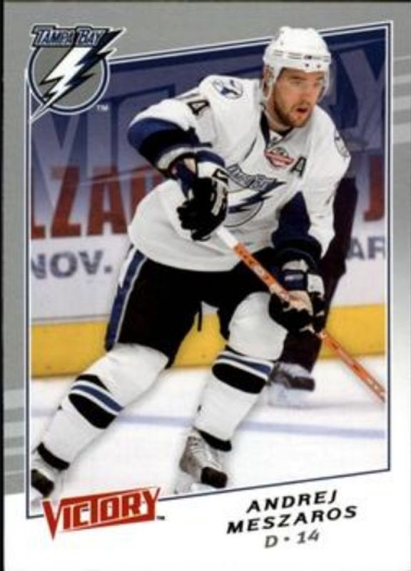 2008 Upper Deck #293 2008 Upper Deck Victory Update