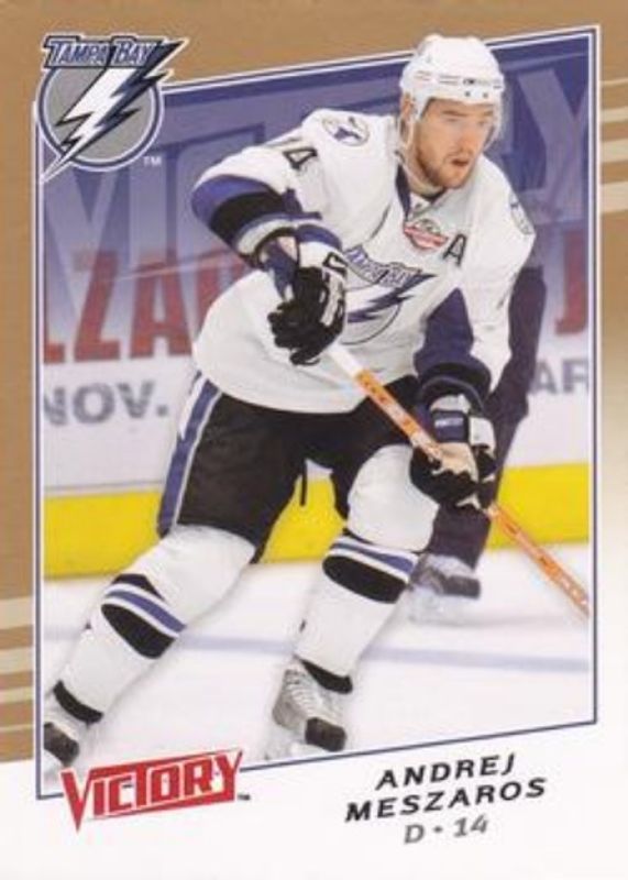 2008 Upper Deck #293 2008 Upper Deck Victory Update - Gold