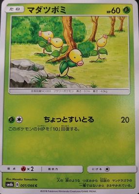 2018 Japanese Sun & Moon: Champion Road #001/066 Base