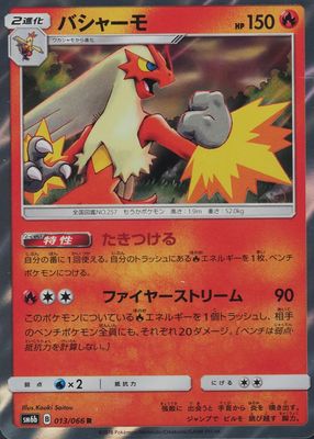 2018 Japanese Sun & Moon: Champion Road #013/066 Holo