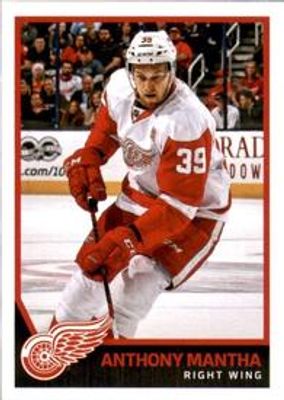 2017 Panini Stickers #77 Base