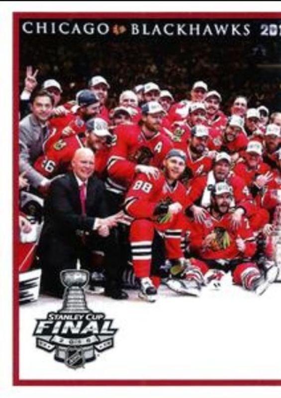 2015 Panini Stickers #489 Base