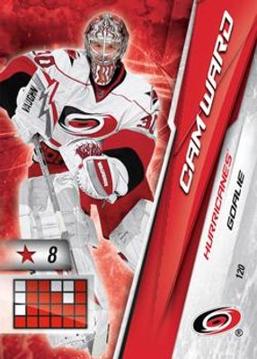 2010 Panini Adrenalyn XL #120 Base