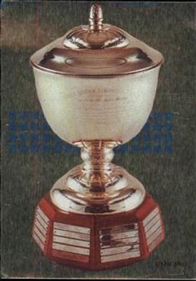 1992 Panini Stickers #306 Base