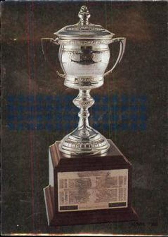 1992 Panini Stickers #305 Base