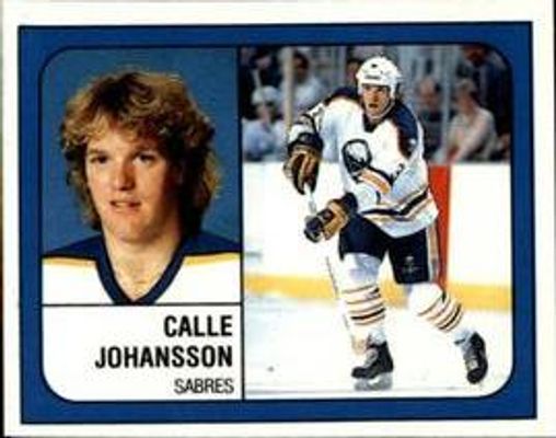 1988 Panini Stickers #221 Base