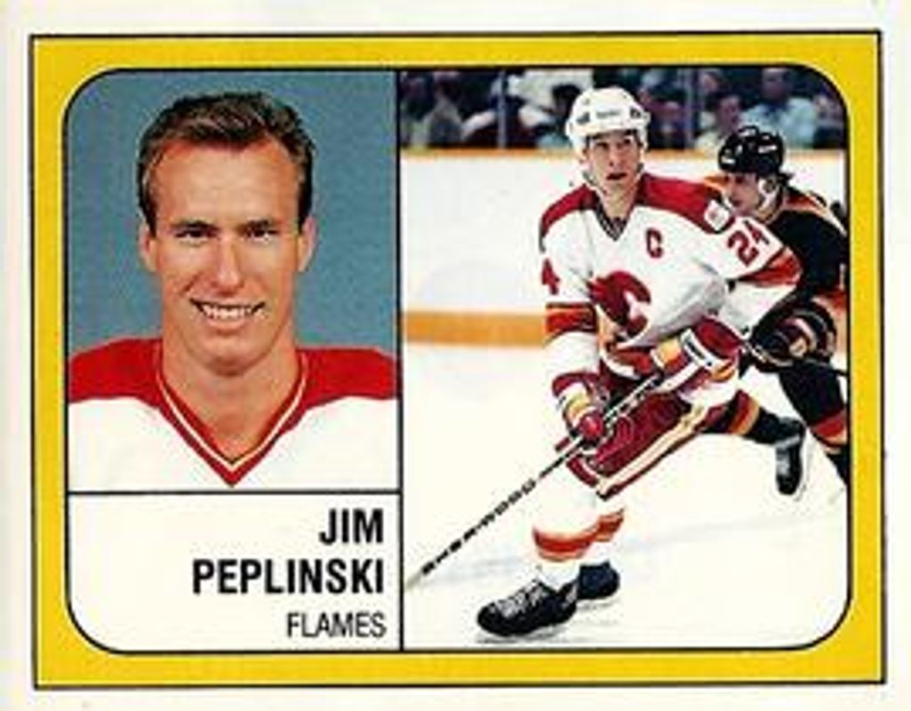 1988 Panini Stickers #14 Base