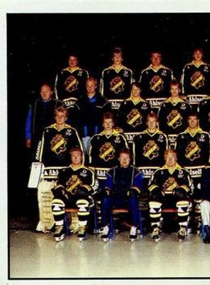 1985 Panini Stickers (Swedish) #13 Base