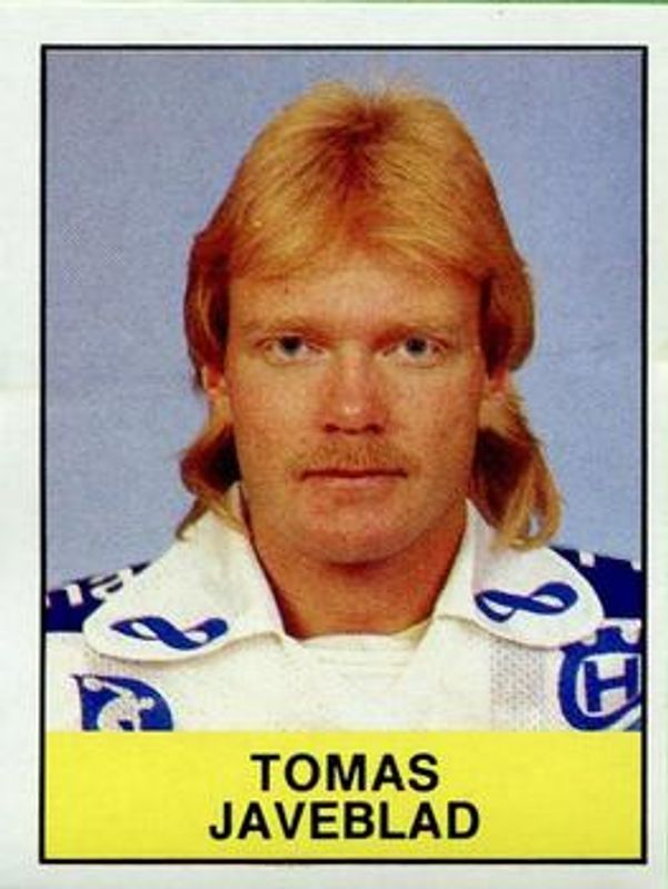 1985 Panini Stickers (Swedish) #178 Base