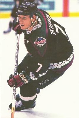 1998 Panini Photocards Base