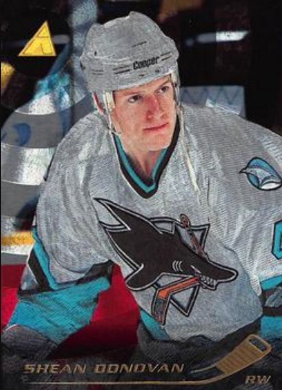 1995 Pinnacle #211 Rink Collection