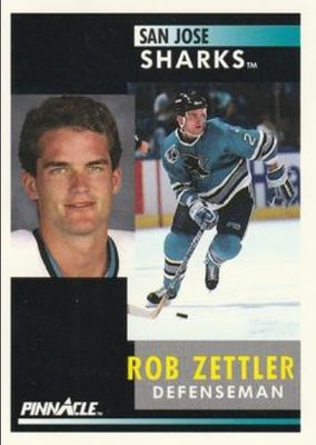 1991 Pinnacle #213 Base