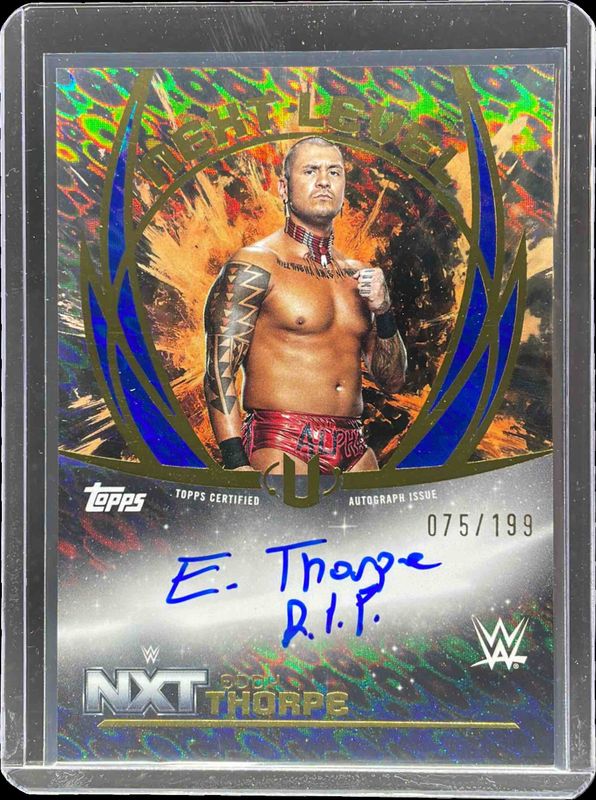 2025 Topps Universe WWE #NLA-ETH Next Level Autographs - Blue Pulse /199